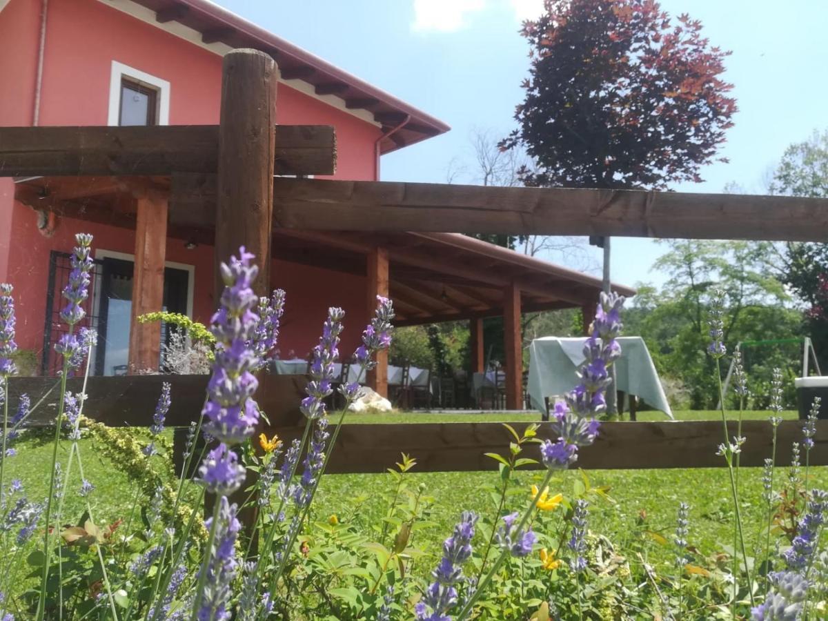 Faicchio La Cascina Nel Bosco B&B 외부 사진